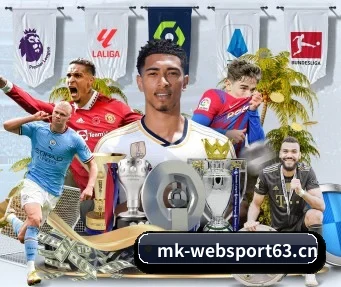 MK体育websport63 APP